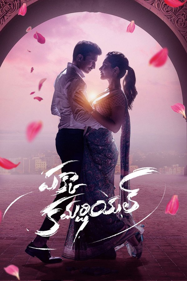 dvd date for Pakka Commercial